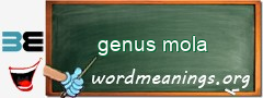 WordMeaning blackboard for genus mola